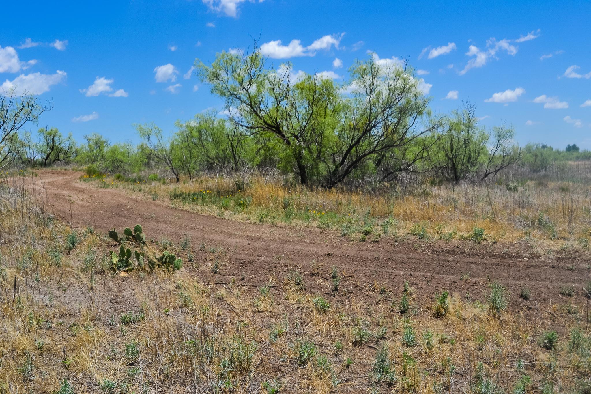 Duncan Ranch Chas S. Middleton